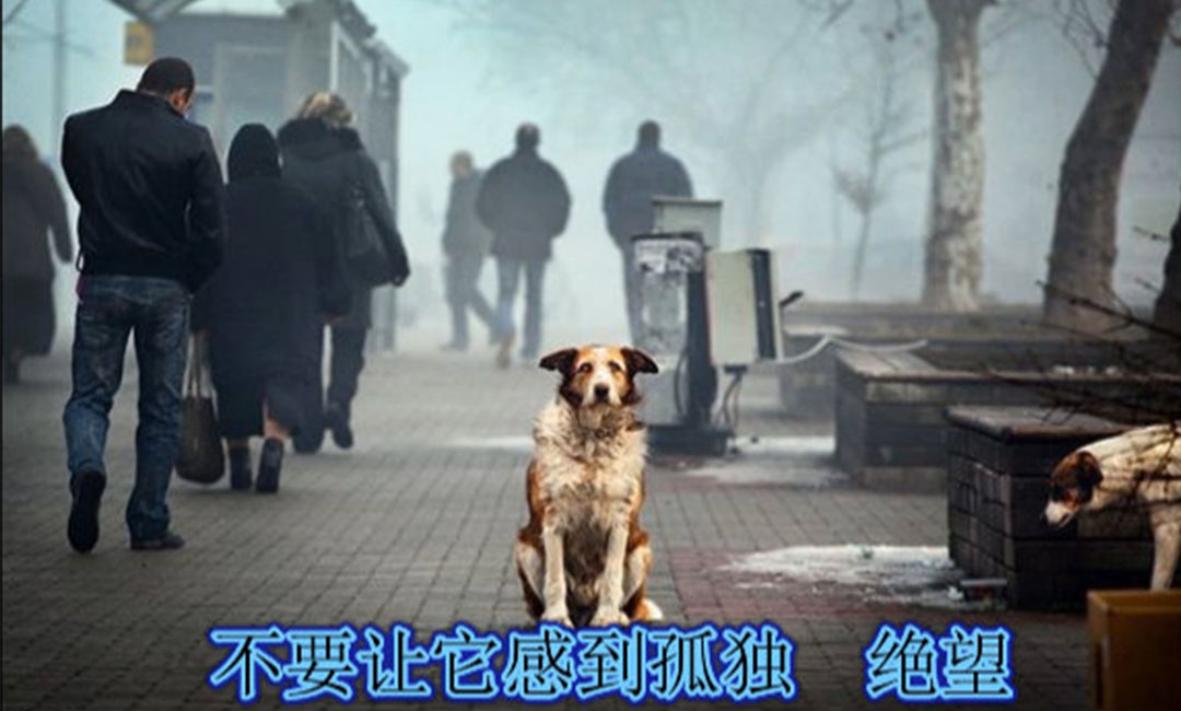 乌海爱影圈微博微信转发案例